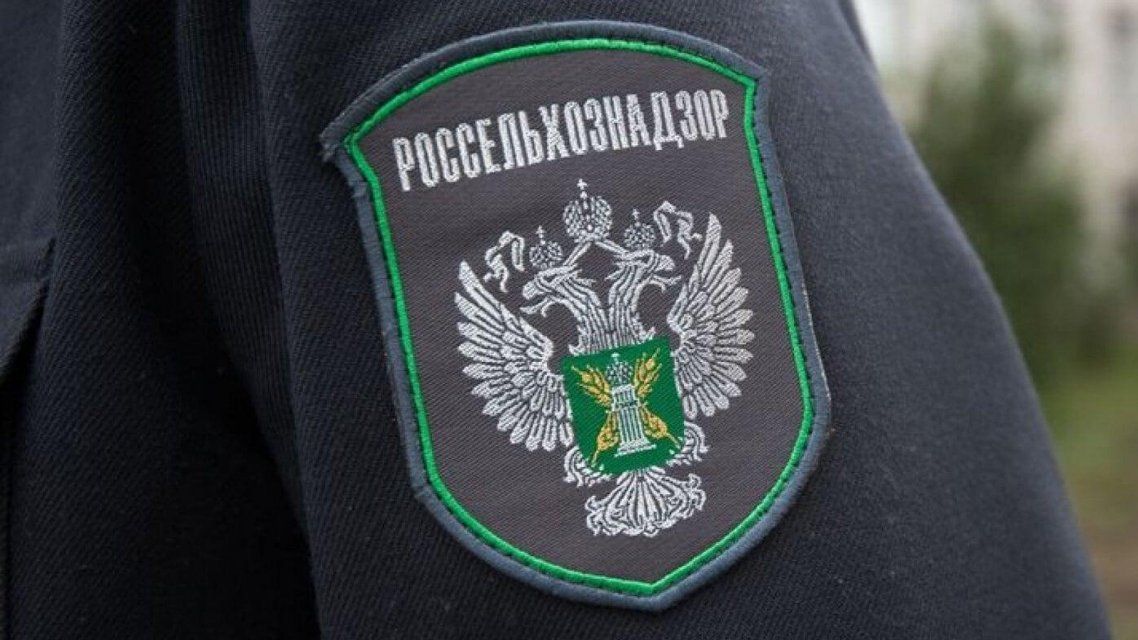 Продукция с истекшим сроком годности: Россельхознадзор отчитался о нарушениях на Орловщине