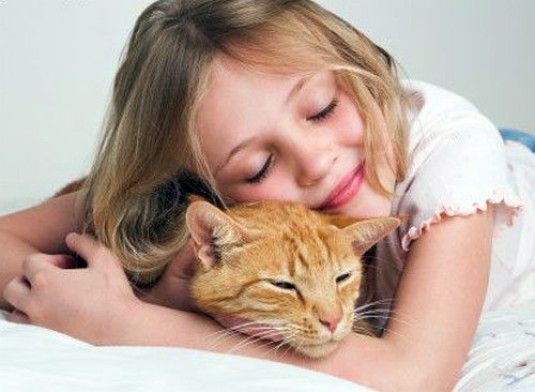 Поможем четвероногим всем миром