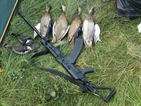 С сегодняшнего дня открывается сезон охоты на пернатую дичь