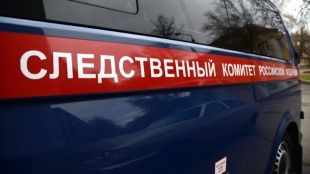СК рассказал подробности гибели Павла Плотникова