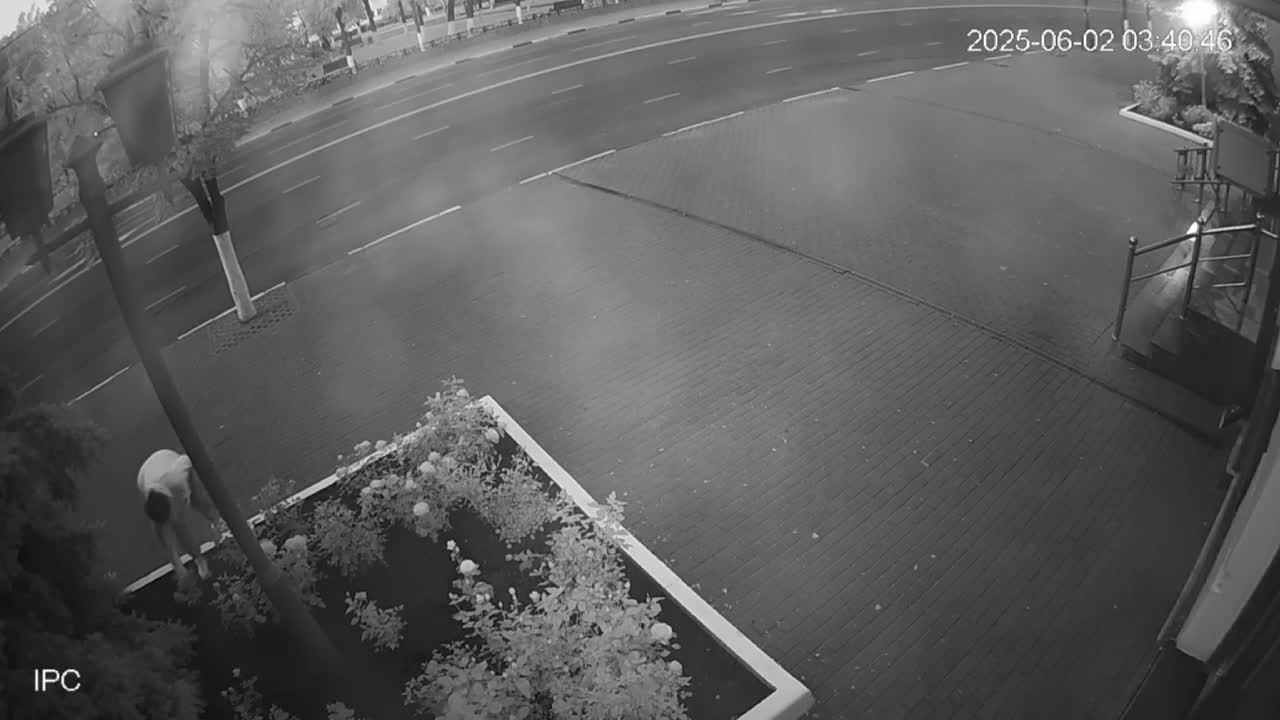 После ночной прогулки орловчанки в центре города поредела клумба