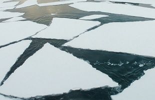 Уточненная информация по гибели ребенка в реке 