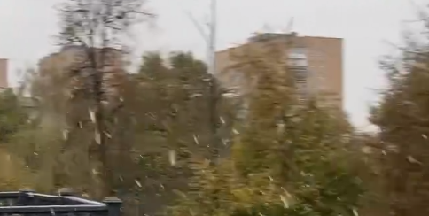 Снег выпал неожиданно 