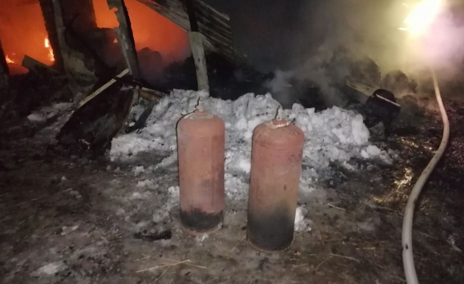 В субботу под Орлом в сарае заживо сгорели животные