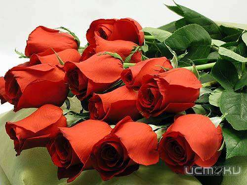 Любимые цветы – любимым людям!