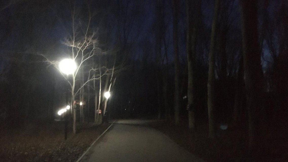 Фотофакт: новое освещение в орловском парке «Ботаника» уже отказало
