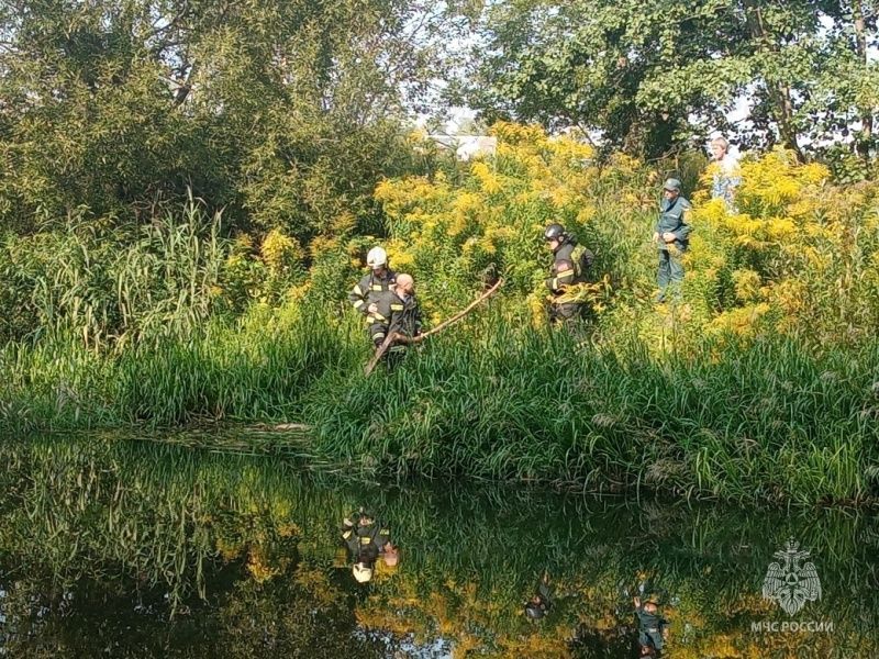 В Орле утонул мужчина 