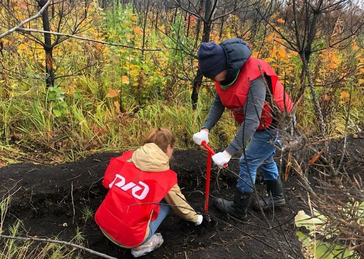Более 100 деревьев и кустарников высадили орловские железнодорожники во время экологических акций в апреле