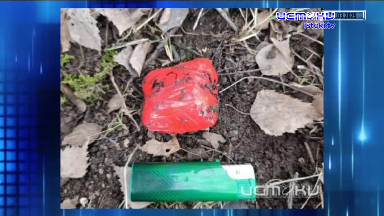 Дайджест 29.03.2025