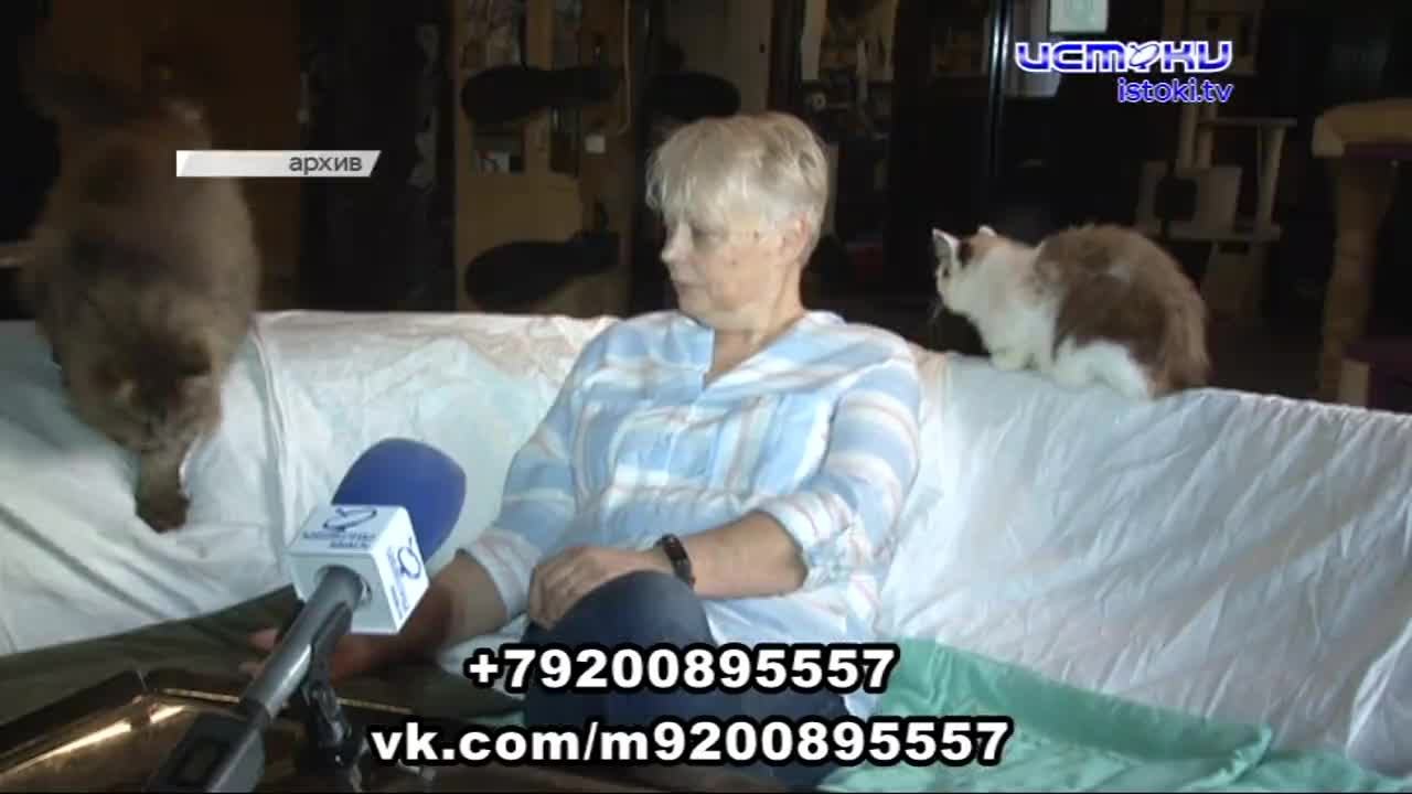 Лауреат конкурса "Учитель года" стал директором орловского лицея, орловский ветеран побывал на торжествах в Минске, а продолжительность жизни орловчан...