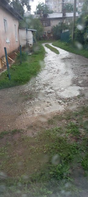 «Истоки» выбрали нового народного корреспондента