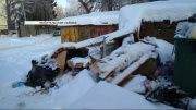 Новогодний мусорный коллапс в Орле: в чем причина и кто виноват