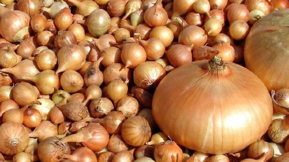 На рынке в Орле продавали 5,5 т краснодарского лука без документов 