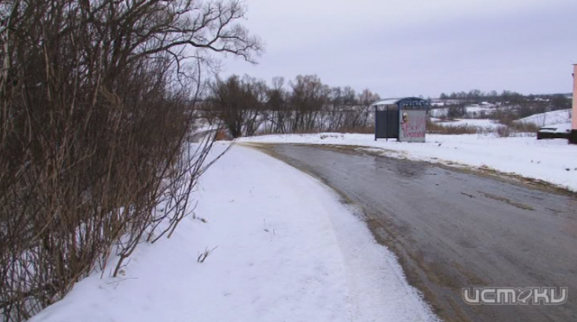 Из города — в деревню: что ждет новоиспеченных сельских жителей в глубинке