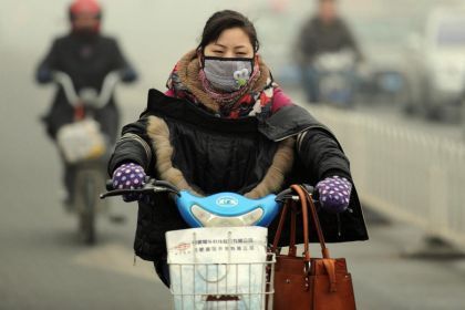 Роспотребнадзор: осторожно, птичий грипп!