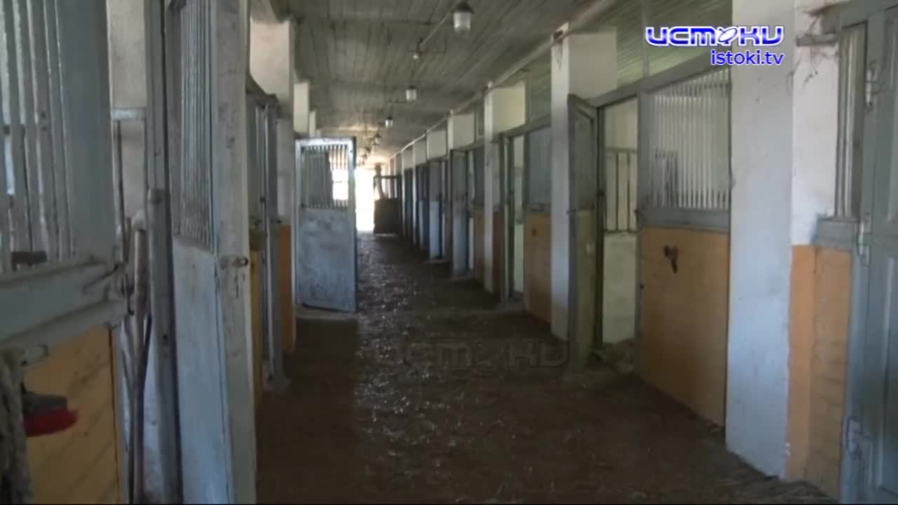 Конезавод или туристический шиш