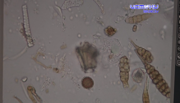 20 лет это ведомства следит за ветеринарной и фитосанитарной безопасностью орловского региона.