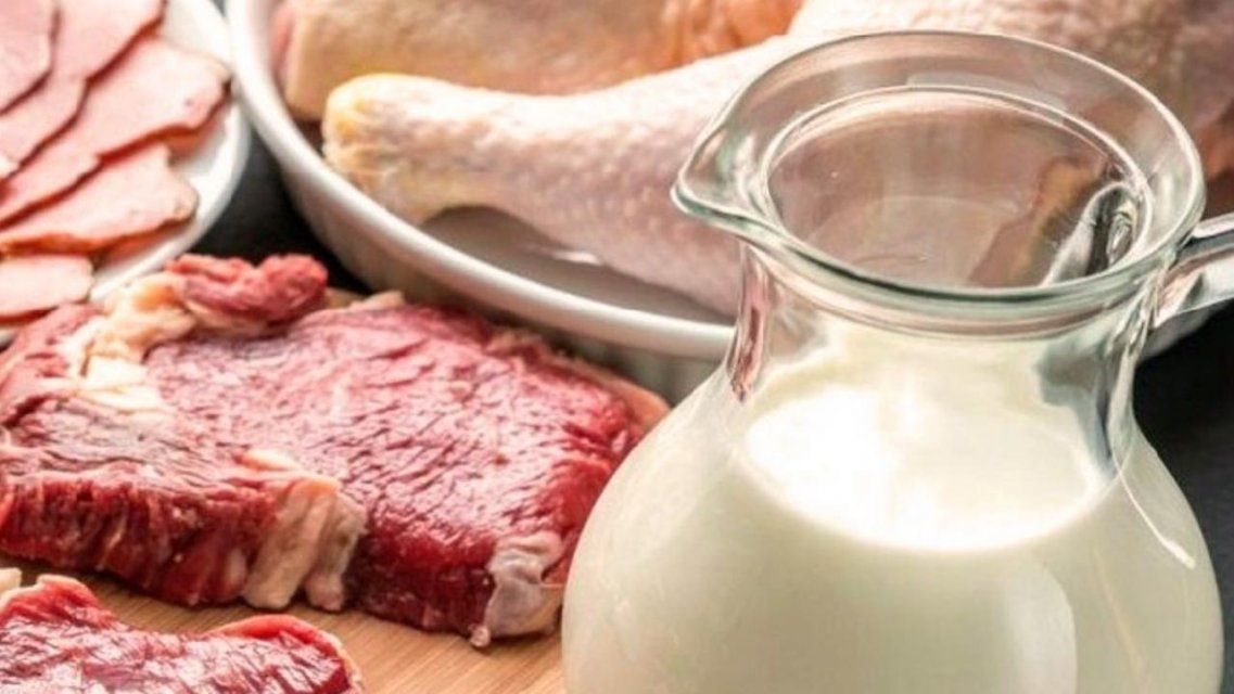 Орловчанам расскажут, что показывает экспертиза мясных и молочных продуктов