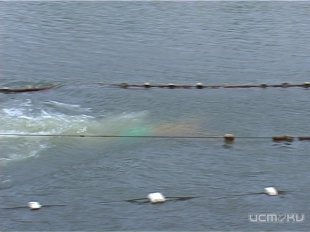 В воскресенье пройдет IV Открытый Чемпионат по зимнему плаванию 