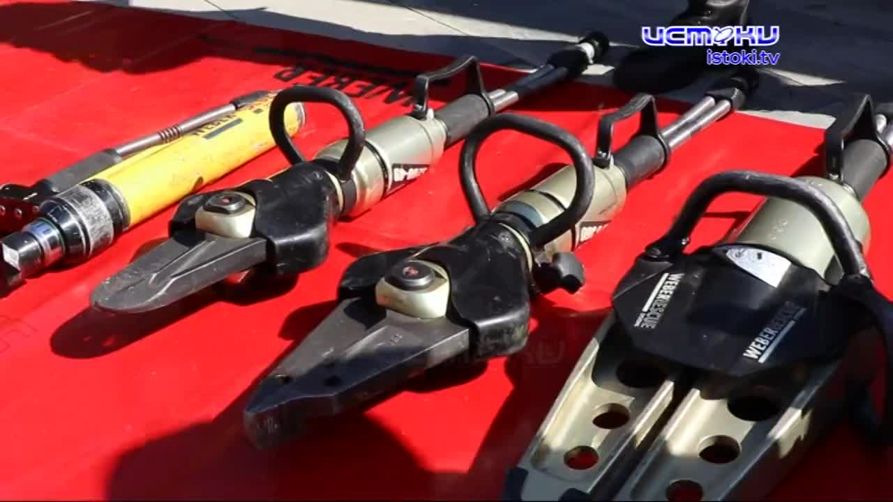 Они шли с человеком бок о бок, а в трудные времена выходили вперед.