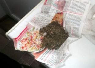 Житель Ливенского района прятал наркотики на кладбище