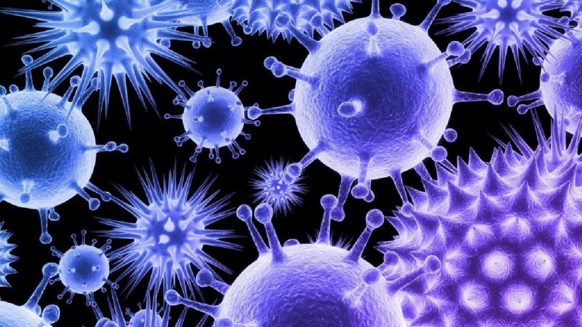 На Орловщине 82 человека побороли коронавирус 