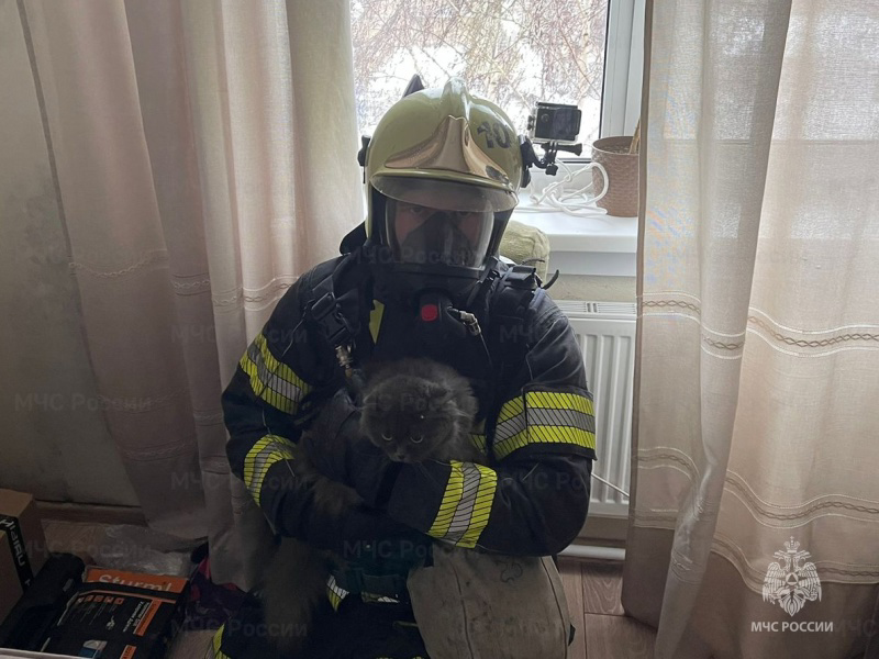 За прошедшие сутки во Мценске пожарные спасли 8 человек и кота 