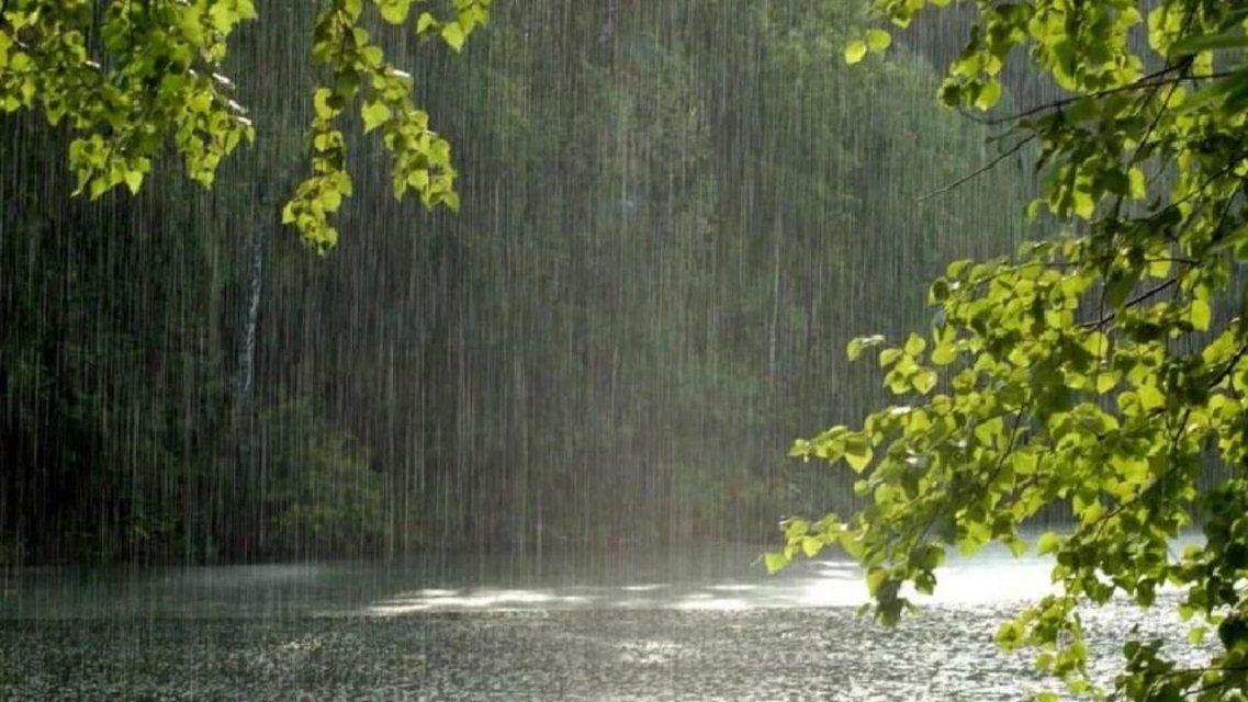 Небольшой дождь ждет орловчан в начале короткой рабочей недели