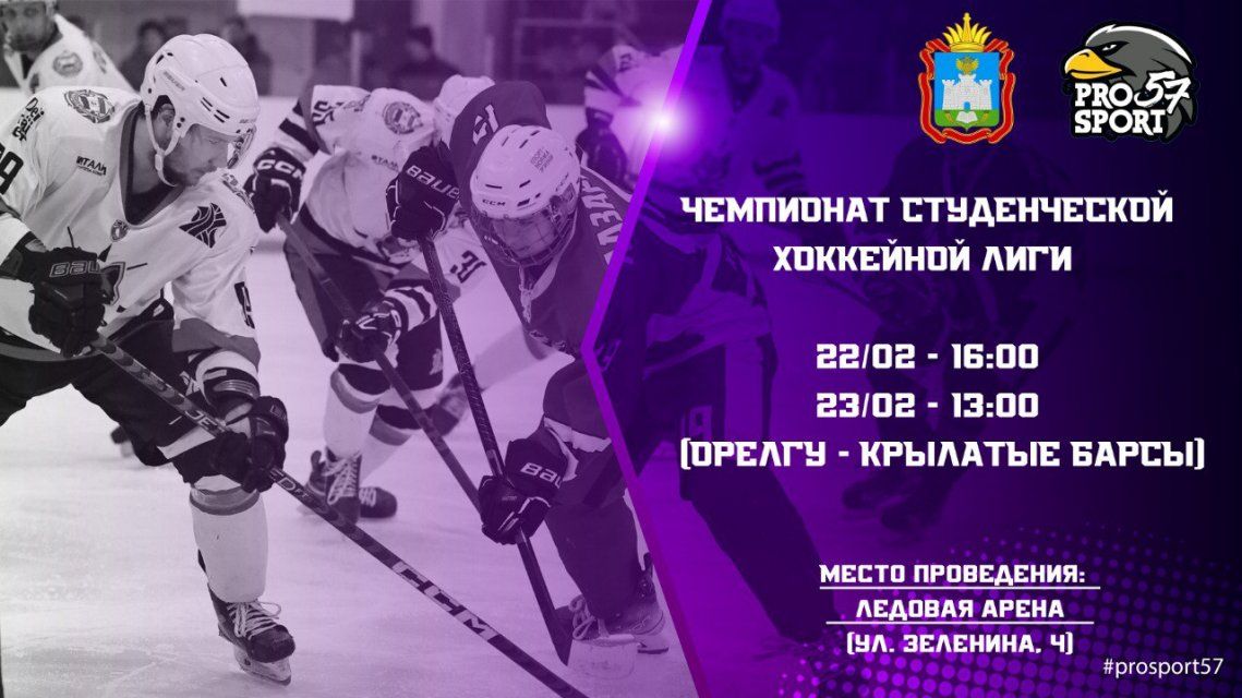 Орловские хоккеисты сегодня выйдут на лед против "Снежных барсов"