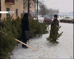 Новости за 90 секунд: елочные базары начнут работу с 15 декабря, областные депутаты пожелали, для себя любимых, удостоверения из натуральной кожи