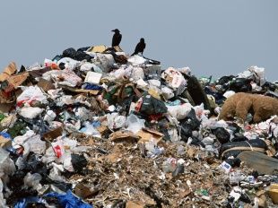 Жители Хардиково добились вывоза мусора через прокуратуру