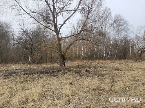 Московскую организацию заставили привести в порядок орловские земли