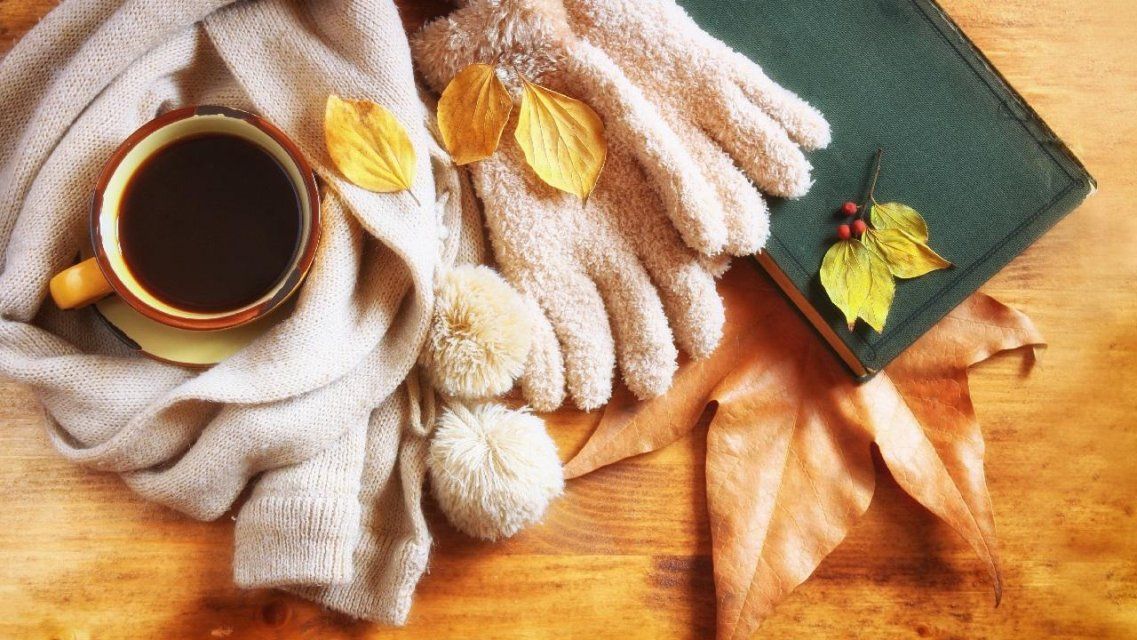 Ноябрьские праздники порадуют потеплением напуганных морозами орловчан