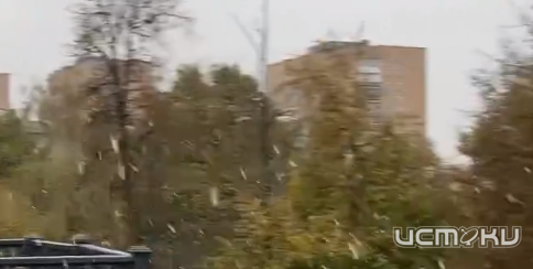 Снег выпал неожиданно 