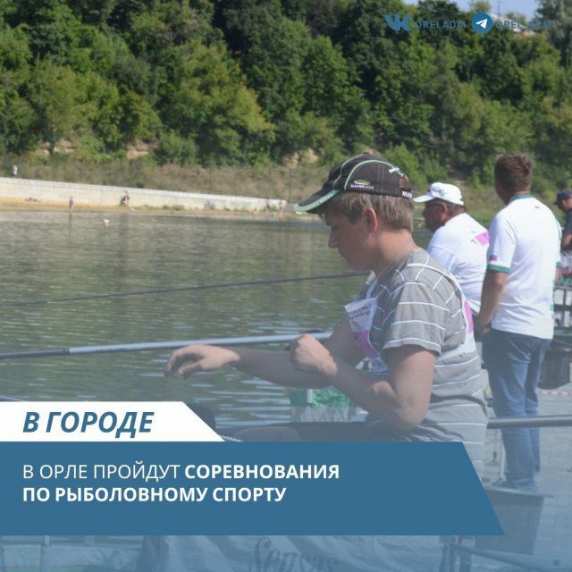 Ловись, рыбка! 