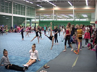 В Орле состоялся международный турнир по художественной гимнастике 