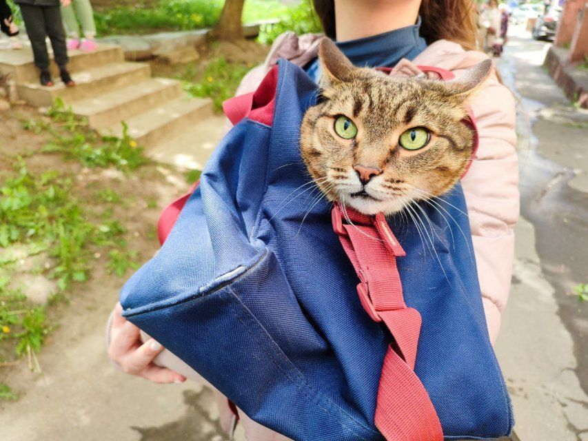 В Орле пожарные спасли людей и животных из задымленного дома