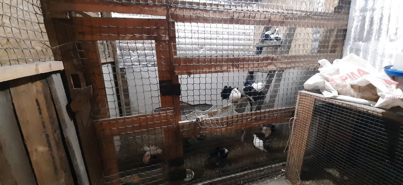 Региональный Россельхознадзор обнаружил нарушения в Орловском полесье