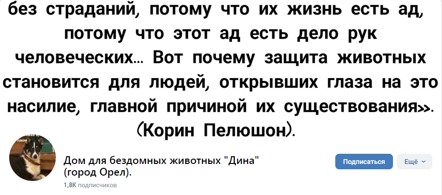 Орловские зоозащитники поздравляют Валентину Борисовну с Днем рождения. К сожалению, ее фамилию не сообщили, прислав нам эту информацию.