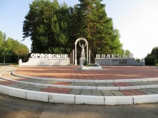 Замдиректора «Орловского полесья» потерял должность из-за диких кабанов