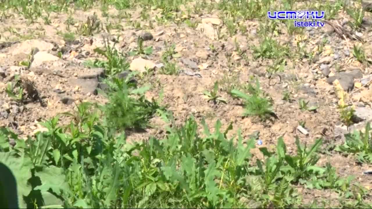 Ремонт улицы Михалицина завершен. Только не всем он пришелся по душе!