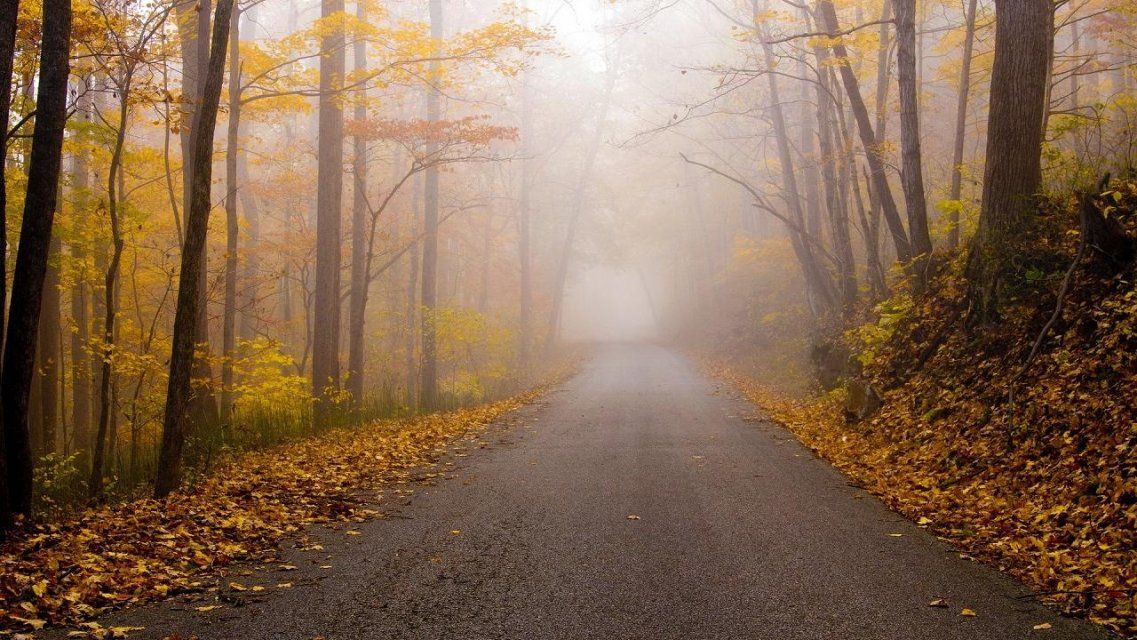 Осень не повод для депрессий: советы психотерапевта — в прямом эфире Ретро FM