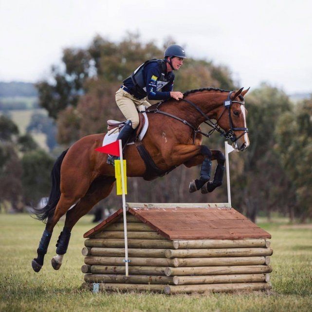 Конный спорт - в Орле