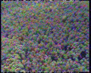 Сотрудники МЧС провели авиаразведку лесных массивов Орловской области