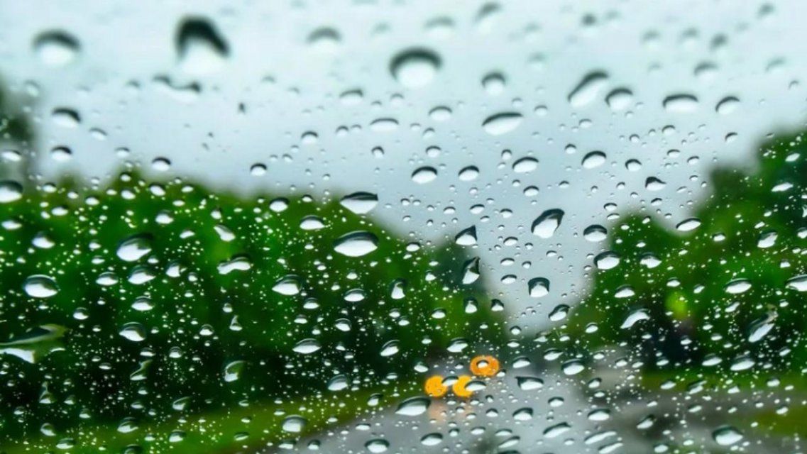 Начало недели в Орле будет холодным и пасмурным 