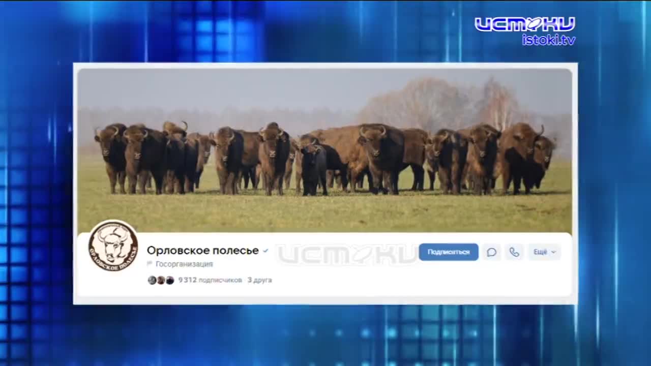 Не утащишь!