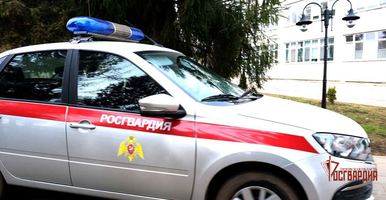 В Орле росгвардейцы задержали агрессивного посетителя кафе