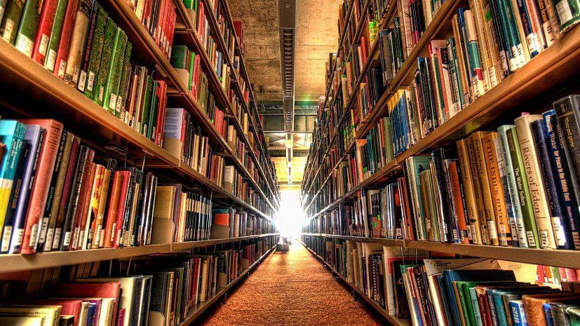 Бунинка проведет акцию для орловчан «Библиотека без задолжников»