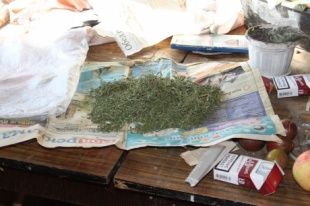 43-летний житель поселка Глазуновка хранил дома 8 пакетов марихуаны