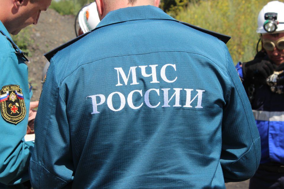 В Орле на территории детского сада уничтожили осиное гнездо